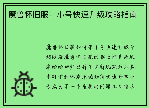 魔兽怀旧服：小号快速升级攻略指南